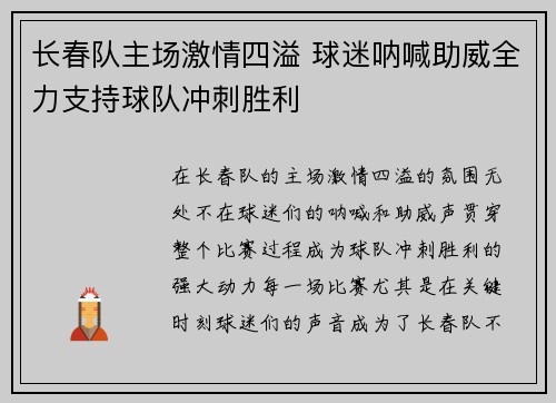 长春队主场激情四溢 球迷呐喊助威全力支持球队冲刺胜利