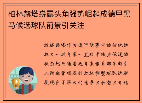 柏林赫塔崭露头角强势崛起成德甲黑马候选球队前景引关注