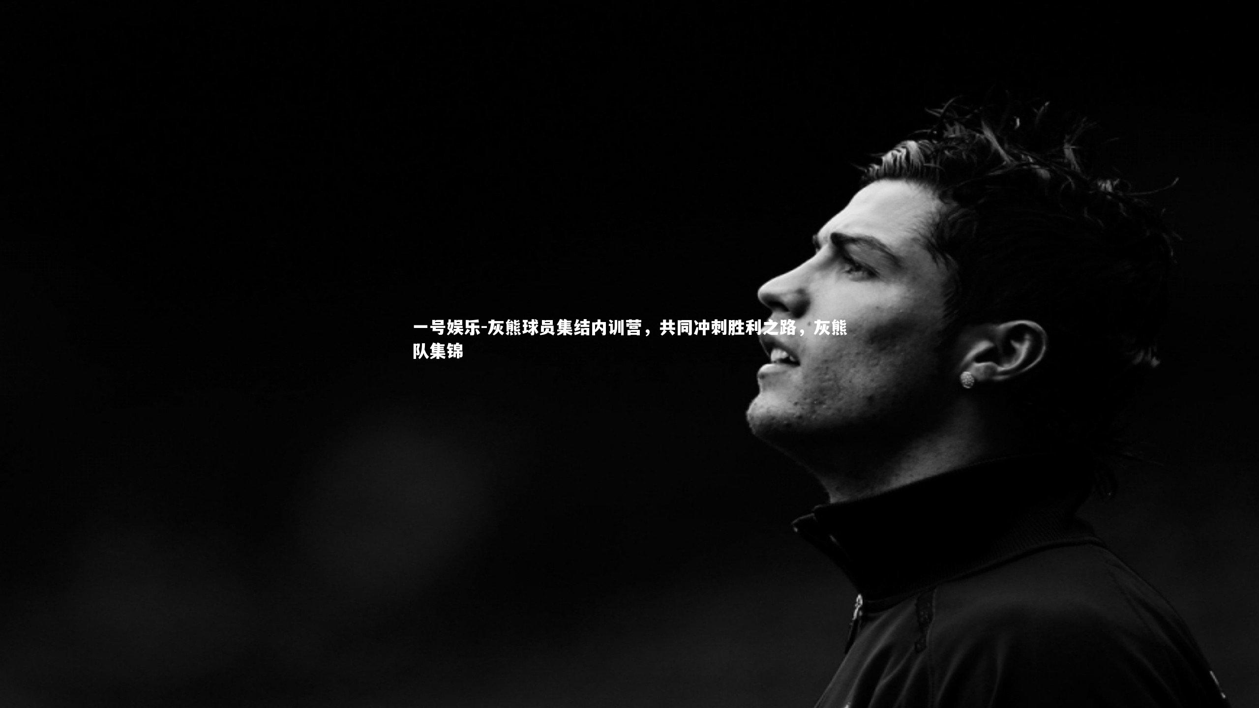 灰熊球员集结内训营，共同冲刺胜利之路，灰熊队集锦