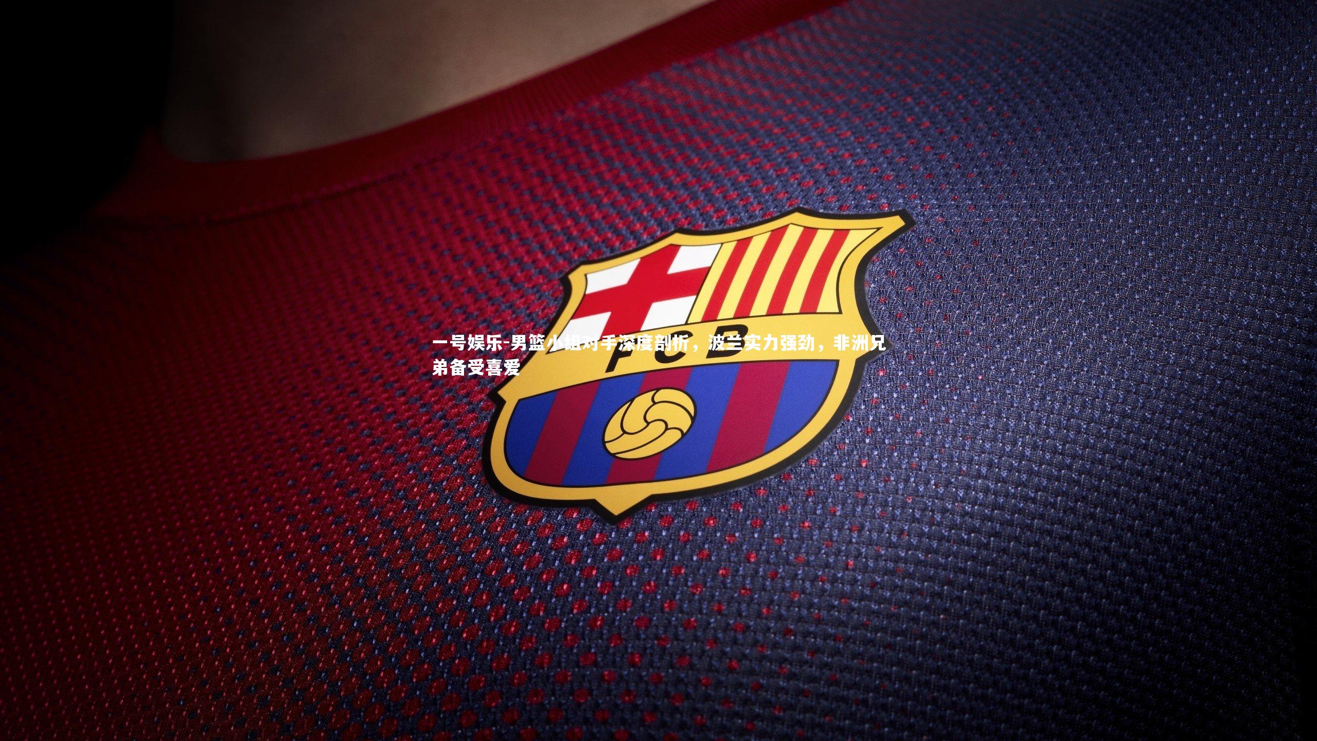 一号娱乐-男篮小组对手深度剖析，波兰实力强劲，非洲兄弟备受喜爱